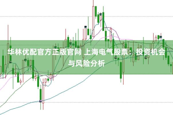 华林优配官方正版官网 上海电气股票：投资机会与风险分析