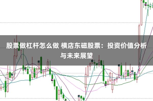 股票做杠杆怎么做 横店东磁股票：投资价值分析与未来展望