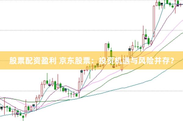 股票配资盈利 京东股票：投资机遇与风险并存？