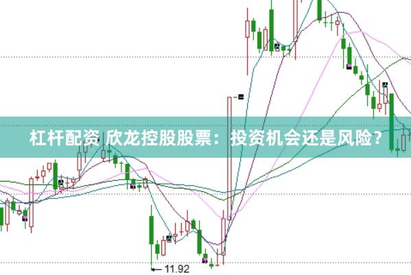 杠杆配资 欣龙控股股票：投资机会还是风险？