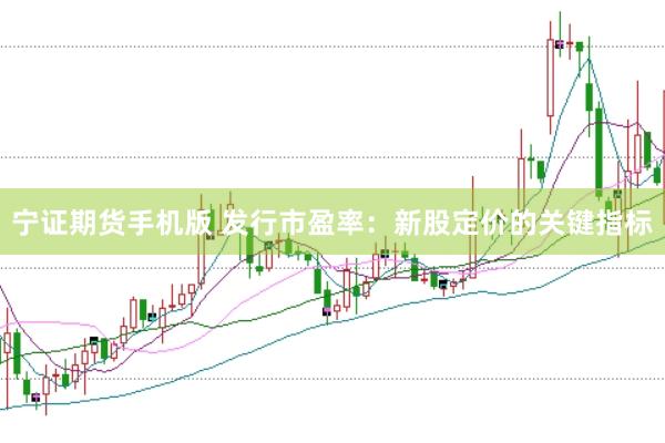 宁证期货手机版 发行市盈率：新股定价的关键指标