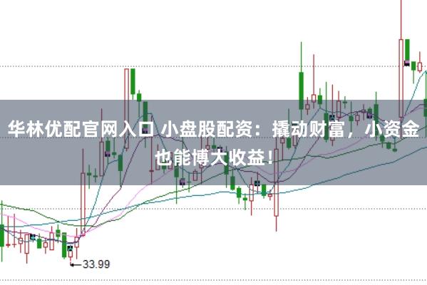 华林优配官网入口 小盘股配资：撬动财富，小资金也能博大收益！