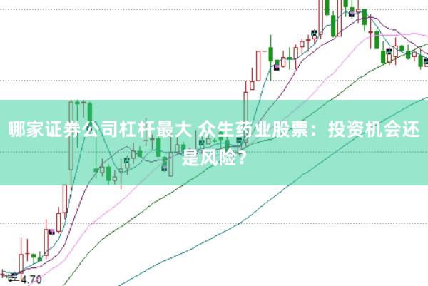 哪家证券公司杠杆最大 众生药业股票：投资机会还是风险？