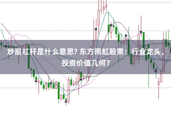 炒股杠杆是什么意思? 东方雨虹股票：行业龙头，投资价值几何？