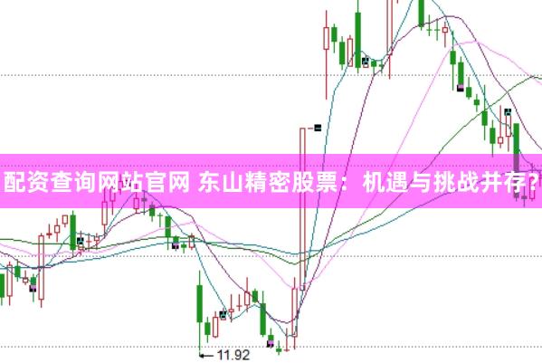 配资查询网站官网 东山精密股票：机遇与挑战并存？
