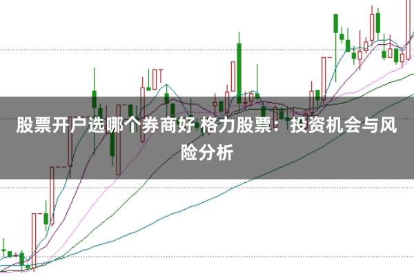 股票开户选哪个券商好 格力股票：投资机会与风险分析