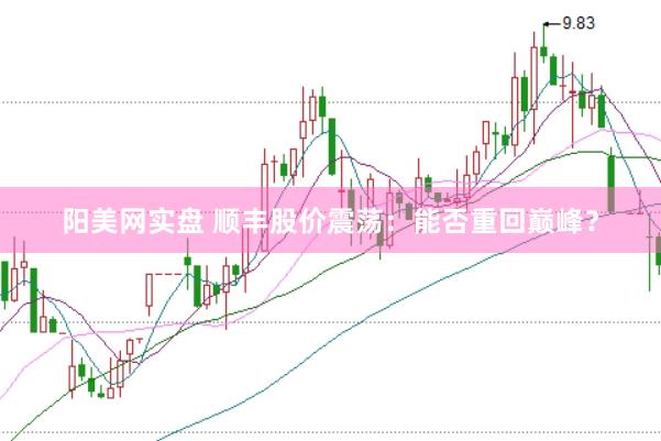 阳美网实盘 顺丰股价震荡：能否重回巅峰？