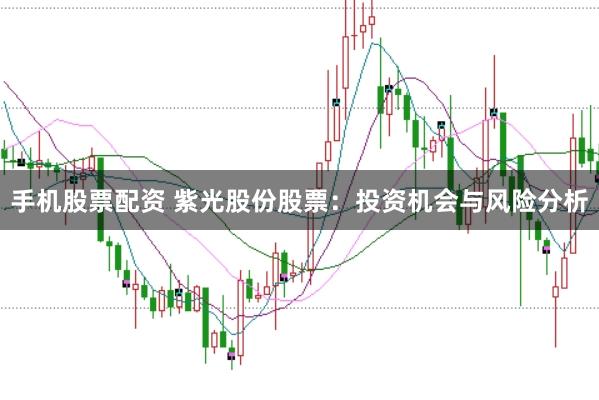手机股票配资 紫光股份股票：投资机会与风险分析
