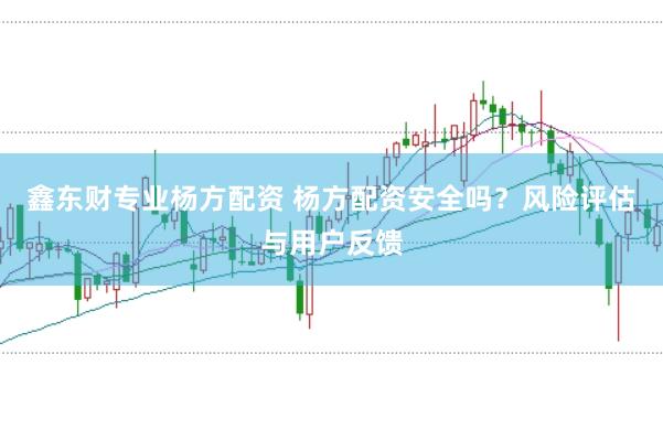 鑫东财专业杨方配资 杨方配资安全吗？风险评估与用户反馈