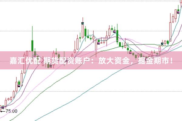 嘉汇优配 期货配资账户：放大资金，掘金期市！