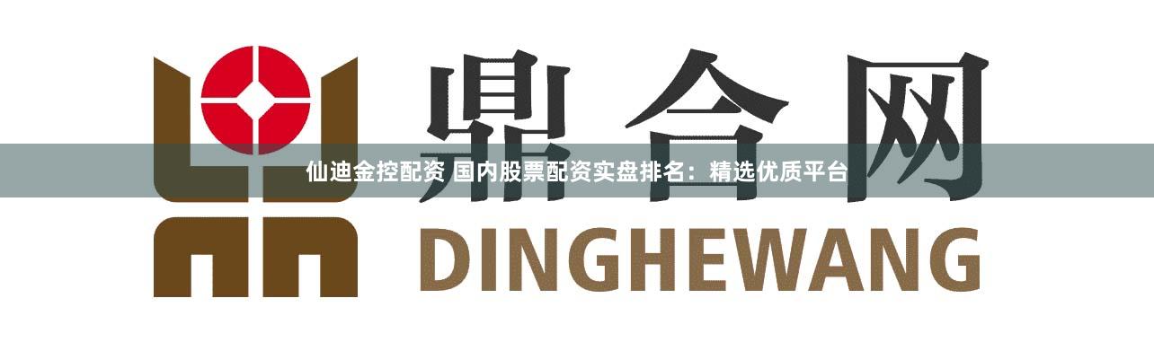 仙迪金控配资 国内股票配资实盘排名：精选优质平台
