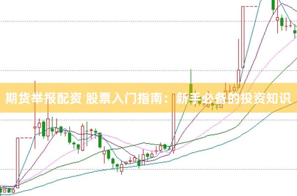 期货举报配资 股票入门指南：新手必备的投资知识