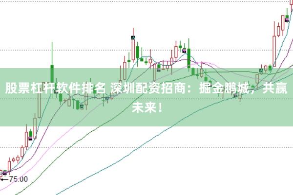 股票杠杆软件排名 深圳配资招商：掘金鹏城，共赢未来！
