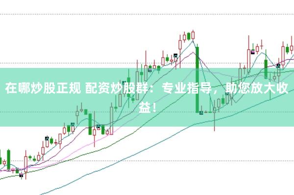 在哪炒股正规 配资炒股群：专业指导，助您放大收益！
