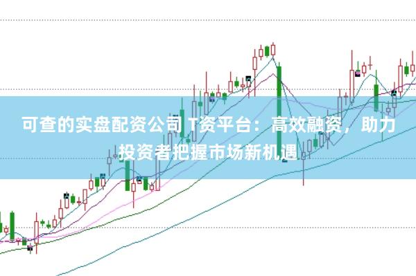 可查的实盘配资公司 T资平台：高效融资，助力投资者把握市场新机遇