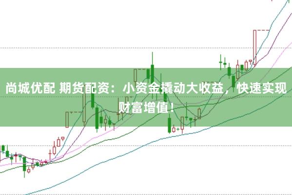 尚城优配 期货配资：小资金撬动大收益，快速实现财富增值！