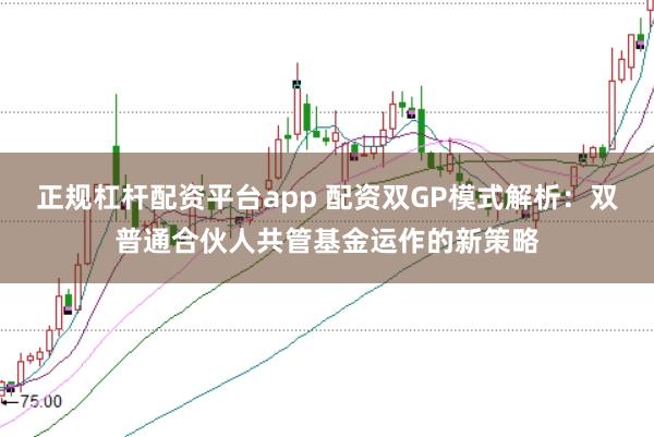 正规杠杆配资平台app 配资双GP模式解析：双普通合伙人共管基金运作的新策略
