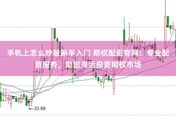 手机上怎么炒股新手入门 期权配资官网：专业配资服务，助您灵活投资期权市场