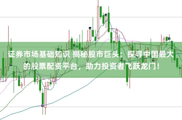 证券市场基础知识 揭秘股市巨头:探寻中国最大的股票配资平台,助力投资者飞跃龙门!