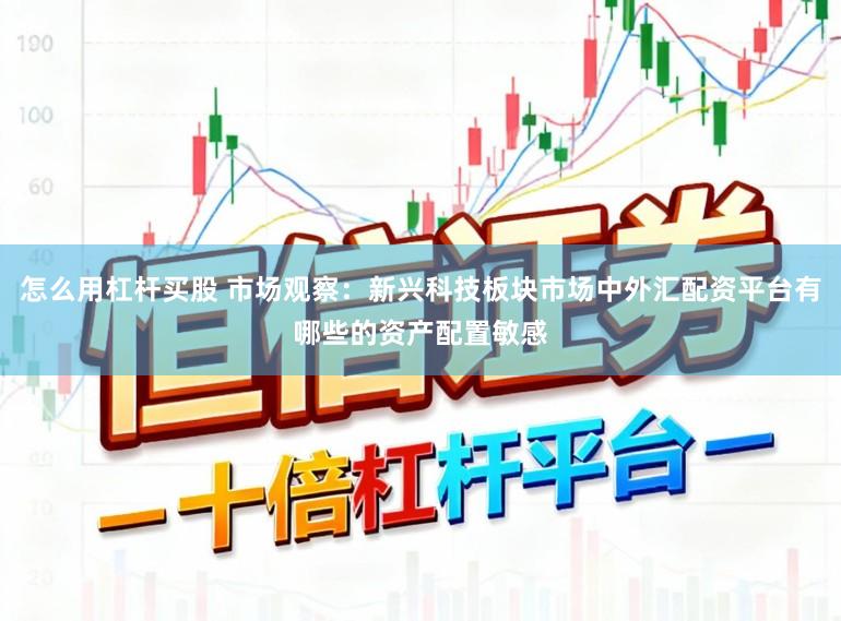 怎么用杠杆买股 市场观察：新兴科技板块市场中外汇配资平台有哪些的资产配置敏感