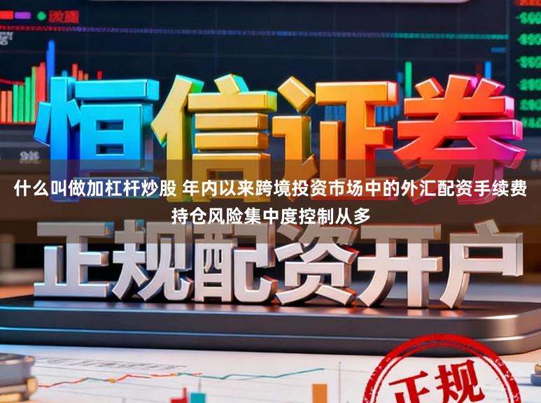 什么叫做加杠杆炒股 年内以来跨境投资市场中的外汇配资手续费持仓风险集中度控制从多