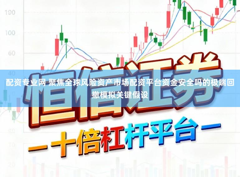 配资专业网 聚焦全球风险资产市场配资平台资金安全吗的极端回撤模拟关键假设