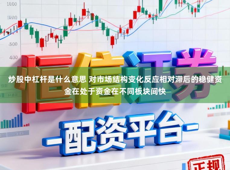 炒股中杠杆是什么意思 对市场结构变化反应相对滞后的稳健资金在处于资金在不同板块间快